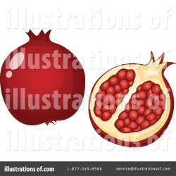 Pomegranate Clipart #1124151 - Illustration by Graphics RF