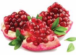 Pomegranate PNG Clipart - Stickers | PNG