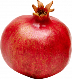 pomegranate png - Free PNG Images | TOPpng