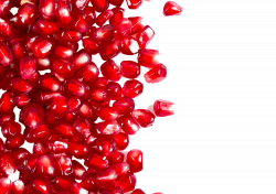 Pomegranate Seed Fruit Icon - Pomegranate grains png ...