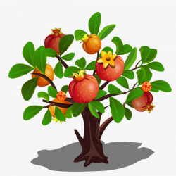 Pomegranate tree clipart 4 » Clipart Portal