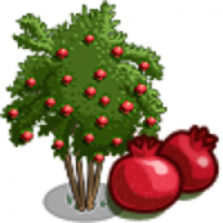 Image result for pomegranate tree clipart | Egypt Winter in ...