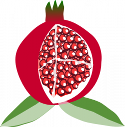 Pomegranate Fruit Clip Art at Clker.com - vector clip art online ...