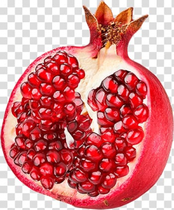 Red pomegranate fruit, Open Single Pomegranate transparent ...