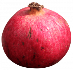 Pomegranate png - Free PNG Images | TOPpng