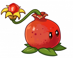 Image - Pomegranate-pult.png | Plants vs. Zombies Wiki | FANDOM ...