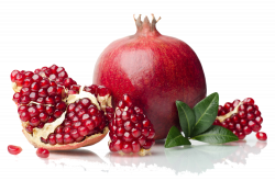 History Of #Pomegranates, 'Punica Granatum' | Local Landscaping ...