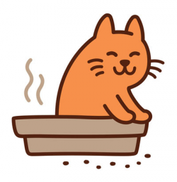 4 Tips for Cleaning Cat Poop
