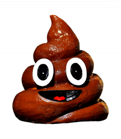 Human feces Pile of Poo emoji Defecation Fecal microbiota ...
