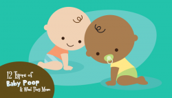 12 Types of Baby Poop & What They Mean | Infographic