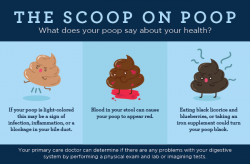 The Scoop on Poop: What Does Your Poop Say About Your Health ...