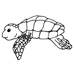 Life Cycle of a Sea Turtle Clipart | insect | Pinterest | Turtle
