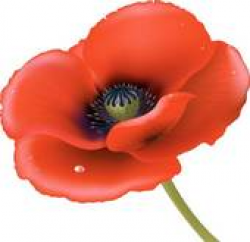 Poppy Clip Art - Royalty Free - GoGraph