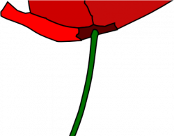 Poppy Clipart 4 Flower - Cartoon Poppy Flower - Png Download ...