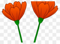 Free PNG Poppy Flower Clip Art Download - PinClipart