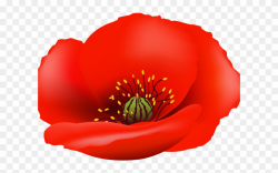 Poppy Clipart Blank - Png Download (#2994226) - PinClipart