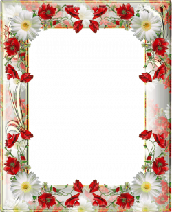 Transparent PNG Photo Frame with Yellow Poppies | Gallery ...