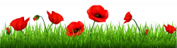 Grass with Beautiful Poppies PNG Clipart | Projects to Try ...