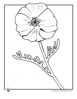 Free Coloring Pages Poppy Flower, Download Free Clip Art ...