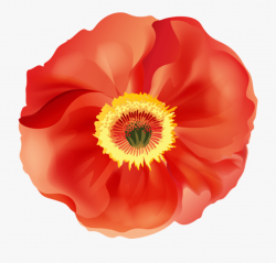 Download Png Images Toppng - Red Poppies Clipart Transparent ...