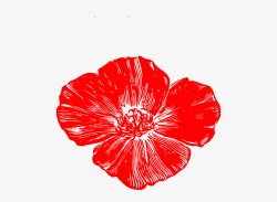 Red Poppy Flower Clipart - Peach Flower Clip Art #988759 ...