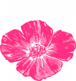 Coral Pink Poppy Clip Art at Clker.com - vector clip art online ...