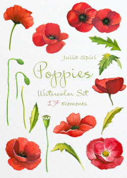 Watercolor Poppies Flowers Clipart, Poppy Hand Painted ...