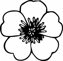 Simple Poppy Drawing at GetDrawings.com | Free for personal use ...