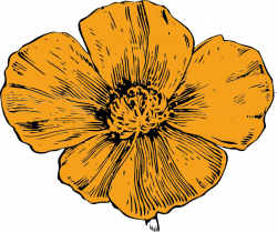 California Golden Poppy clip art - vector clip art online ...