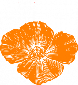 Orange Poppy Clip Art at Clker.com - vector clip art online, royalty ...
