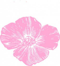 Pink Poppy Clip Art at Clker.com - vector clip art online, royalty ...