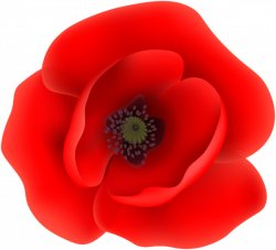 This png image - Poppy Flower Clip Art Transparent Image, is ...