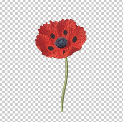 Open Poppy PNG, Clipart, Flowers, Nature, Poppies Free PNG ...
