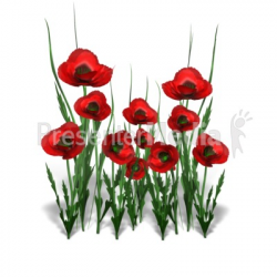 Poppy Flower Bunch - Wildlife and Nature - Great Clipart for ...