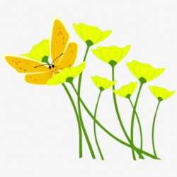 Flower Poppy Butterfly Spring Plant Nature - Yellow Flowers ...
