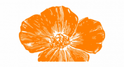 Poppy Clipart Orange Poppy - Hot Pink Flowers Clip Art ...