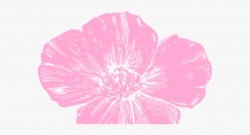Poppy Clipart Pink Poppy - Hot Pink Flowers Clip Art ...
