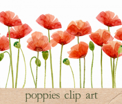 Free Red Poppy Cliparts, Download Free Clip Art, Free Clip ...
