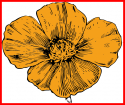 9 Ideas of Poppy Flower Clip Art - Beautiful Poppy Flower
