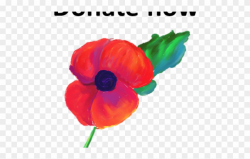 Poppy Clipart Poppy Appeal - Remembrance Day Poppy Painting ...