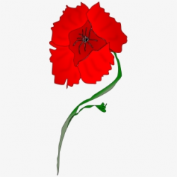 Free Poppy Clipart Cliparts, Silhouettes, Cartoons Free ...