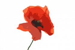 Popular and Trending poppy Stickers on PicsArt