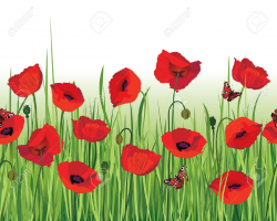Free Poppy Flower Cliparts, Download Free Clip Art, Free ...
