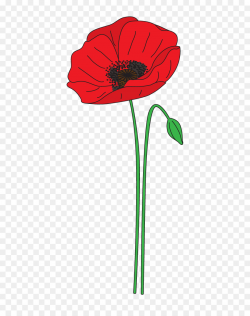 Remembrance Day Poppy clipart - Poppy, Flower, transparent ...