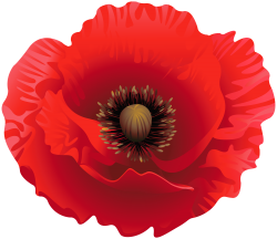 Poppy Clipart Image | Gallery Yopriceville - High-Quality ...