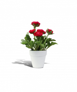 Flowerpot Rosa chinensis - flower pot png download - 967 ...