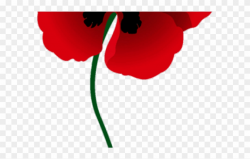 Poppy Clipart Red Poppy - Memorial Day - Png Download ...