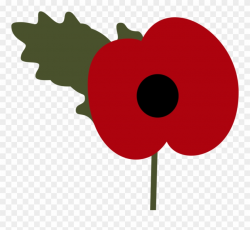 Poppy Drawing Photo - Remembrance Poppy Clip Art - Png ...