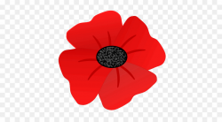 Remembrance Day Poppy png download - 527*488 - Free ...