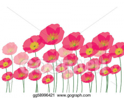 Vector Illustration - Row of poppy flowers isolated on wh ...